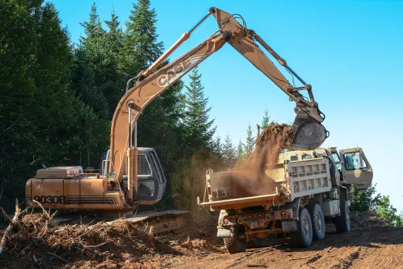 Bonkers Bet Casino Support